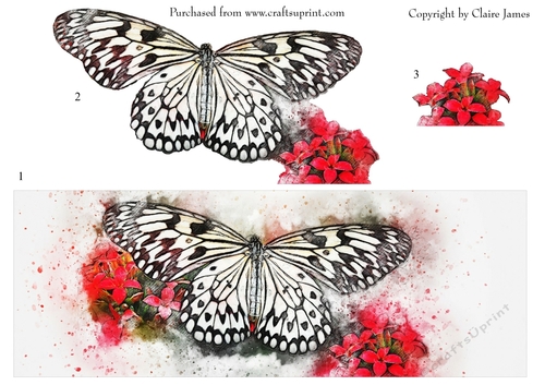 One Sheet Wonders - Water Colour Magic - Butterfly 2 - Easy Cut - 3D Decoupage