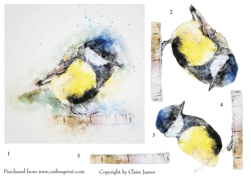 One Sheet Wonders - Water Colour Magic - Blue Tit - Easy Cut - 3D Decoupage