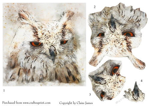 One Sheet Wonders - Water Colour Magic - Owl - Easy Cut - 3D Decoupage