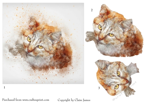 One Sheet Wonders - Water Colour Magic - Cat Ginger - Easy Cut - 3D Decoupage