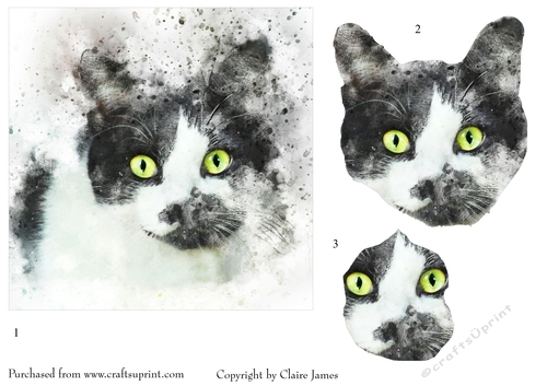 One Sheet Wonders - Water Colour Magic - Cat Attention - Easy Cut - 3D Decoupage