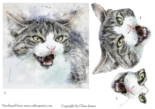 One Sheet Wonders - Water Colour Magic - Cat Talk - Easy Cut - 3D Decoupage