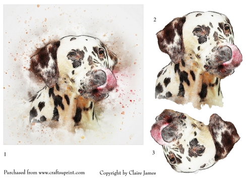 One Sheet Wonders - Water Colour Magic - Dalmatian - Easy Cut - 3D Decoupage