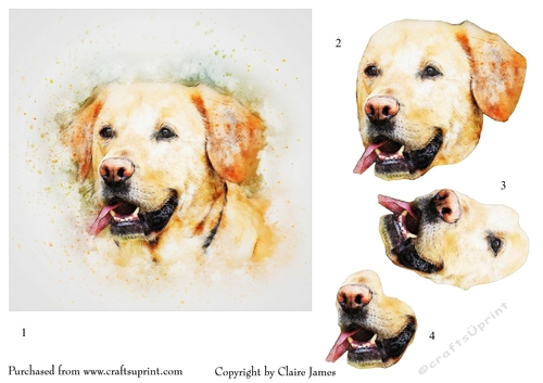 One Sheet Wonders - Water Colour Magic - I Got My Eye On It (Labrador) - Easy Cut - 3D Decoupage