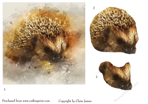 One Sheet Wonders - Water Colour Magic - Hedgehog - Easy Cut - 3D Decoupage
