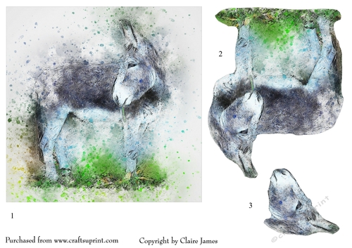 One Sheet Wonders - Water Colour Magic - Donkey - Easy Cut - 3D Decoupage