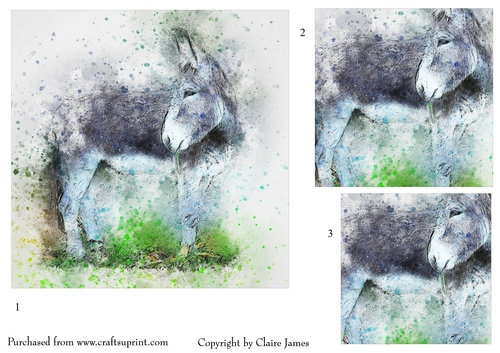 One Sheet Wonders - Water Colour Magic - Donkey - Easy Cut - 3D Pyramid