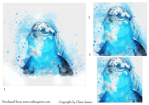 One Sheet Wonders - Water Colour Magic - Dolphin - Easy Cut - 3D Pyramid