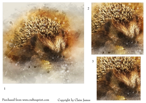 One Sheet Wonders - Water Colour Magic - Hedgehog - Easy Cut - 3D Pyramid