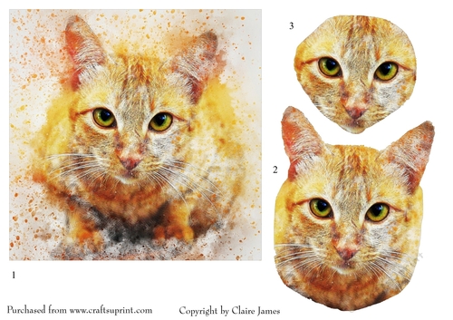 One Sheet Wonders - Ginger Cat 2 - Easy Cut - 3D Decoupage
