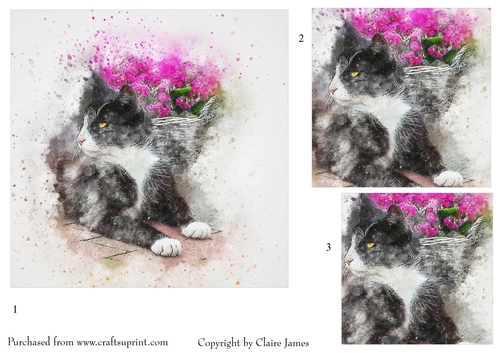 One Sheet Wonders - Cat Just Chilling - Easy Cut - 3D Pyramid 