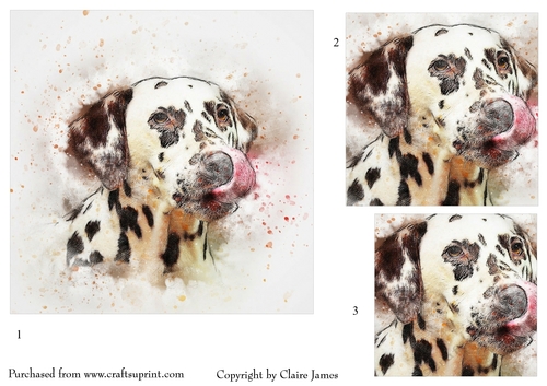 One Sheet Wonders - Dog Dalmatian - Easy Cut - 3D Pyramid 