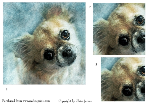 One Sheet Wonders - Dog Listening - Easy Cut - 3D Pyramid 