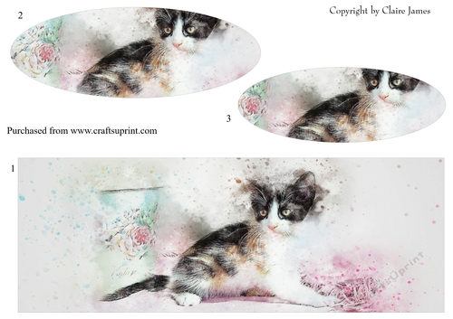 One Sheet Wonders - Kitten Exploration - Easy Cut - 3D Pyramid 