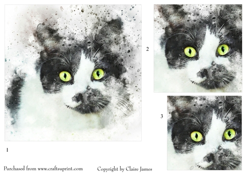 One Sheet Wonders - Cat Attention - Easy Cut - 3D Pyramid 