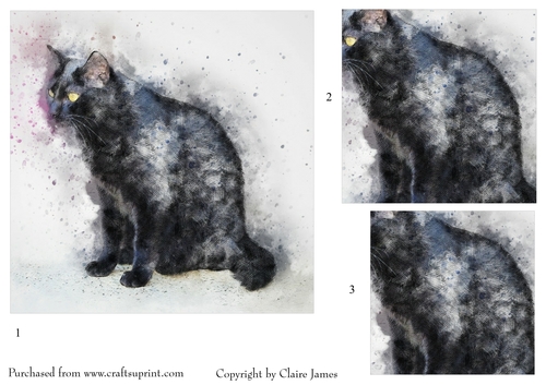 One Sheet Wonders - Cat Lucky - Easy Cut - 3D Pyramid 