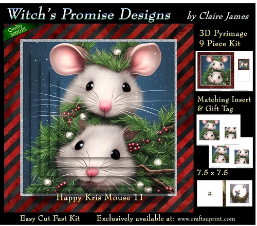 Happy Kris Mouse 11 - 3D Pyramid kit + Insert & Gift Tag