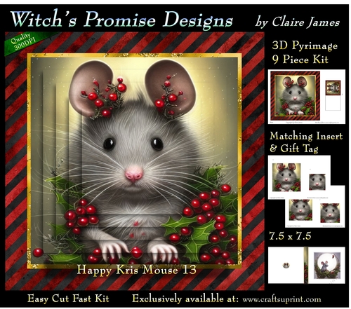 Happy Kris Mouse 13 - 3D Pyramid kit + Insert & Gift Tag