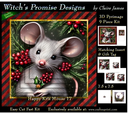 Happy Kris Mouse 17 - 3D Pyramid kit + Insert & Gift Tag