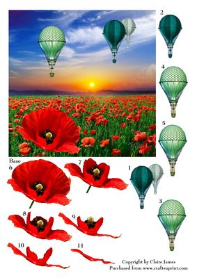 Poppy Field Red & Hot Air Balloons Steampunk + Decoupage