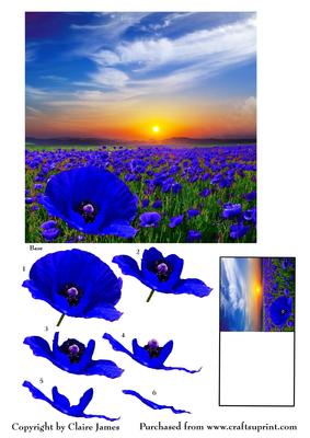 Simply Poppies - Blue Poppy Field Decoupage & Matching Tag
