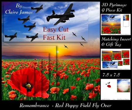 Simply Poppies - Red Poppy Field Fly Over Pyrimage + Ins+tag