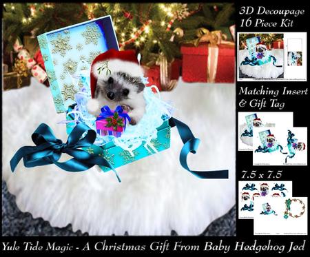 Yule Tide Magic - a Gift from Baby Hedgehog Jed Insert & Tag