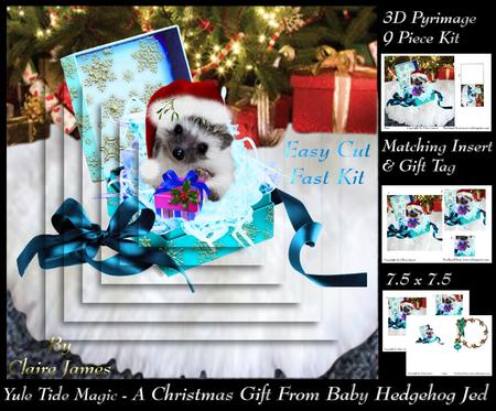 Yule Tide Magic - a Gift from Baby Hedgehog Jed Pyrimage +