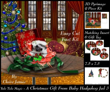 Yule Tide Magic - a Gift from Baby Hedgehog Jed 3 Pyrimage +