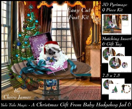 Yule Tide Magic - a Gift Baby Hedgehog Jed 6 + Insert & Tag