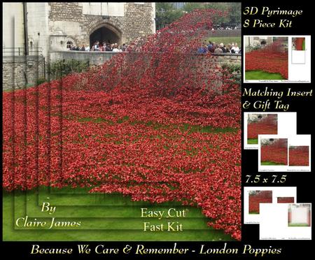 Because We Care & Rememer - London Memorial Poppies + Tag +