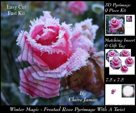 Winter Magic - Frosted Rose Pyrimage with a Twist Insert+tag