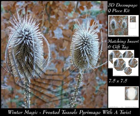 Winter Magic - Frosted Teasels Pyrimage/pyramid with a Twist + Insert & Tag