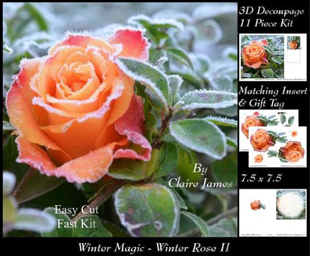 Winter Magic - Frosted Rose Ii + Insert & Tag