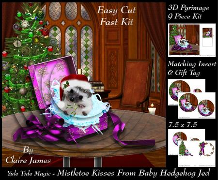 Yule Tide Magic - a Gift from Cute Hedgehog Jed4 Pyrimage/pyramid + Insert & Tag