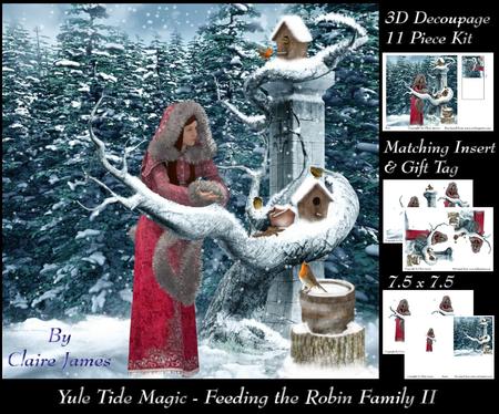 Yule Tide Magic - Feeding the Robin Family 2 + Insert & Tag