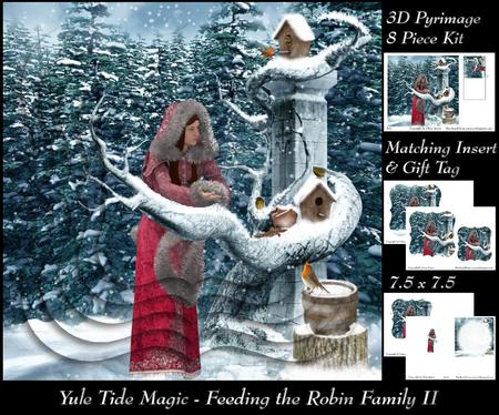 Yule Tide Magic - Feeding the Robin Family 2 Pyramid + Tag +