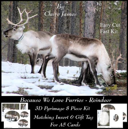 Because We Love Furries - 3D Reindeers Pyrimage Piramid Tag
