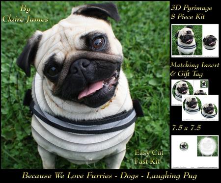 Furry Friends & Familiars - Dogs - Pug Laughing Pyrimage +