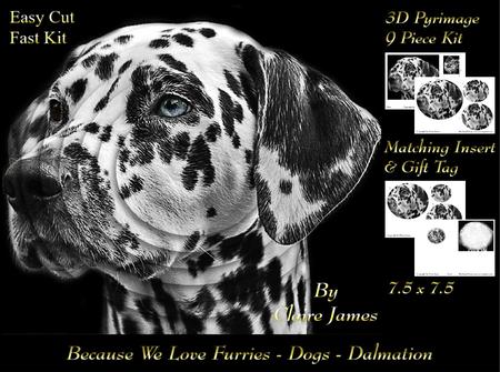 Furry Friends & Familiars - Dogs - Dalmation Pyramid + Tag +
