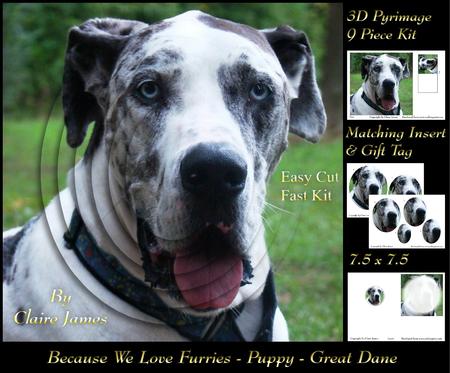 Furry Friends & Familiars - Dogs - Great Dane Piramid +tag+