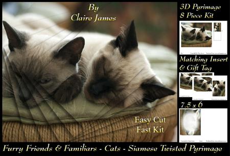 Furry Friends & Familiars - Cats - 3D Siamese + Insert & Tag