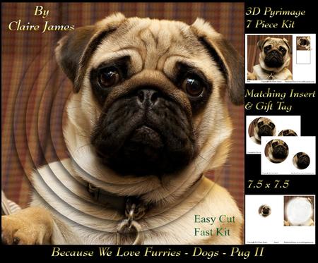 Furry Friends & Familiars - Dogs - 3D Pug 2 Pyrimage + Tag +