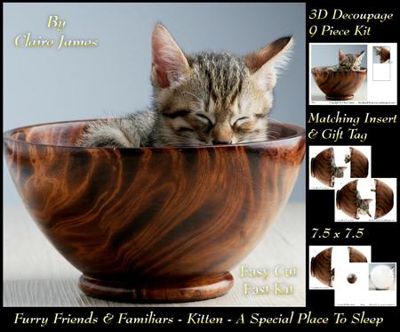 Furry Friends & Familiars - Kitten - My Special Dish + Tag +