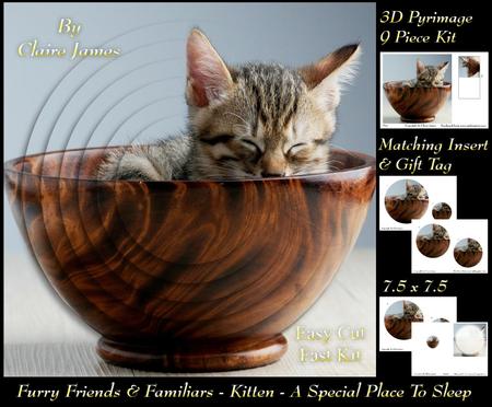 Furry Friends & Familiars-kitten-my Special Dish Pyramid +