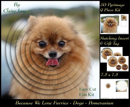 Furry Friends & Familiars - Dogs - Pomeranian + Insert & Tag