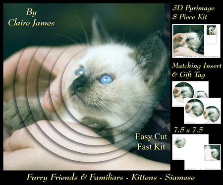 Furry Friends & Familiars - Kittens - Siamese + Insert & Tag