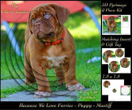 Furry Friends & Familiars - Puppy - Mastiff + Insert & Tag