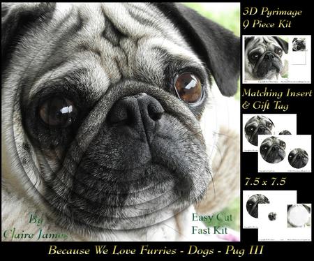 Furry Friends & Familiars - Dogs - Pug 3 + Insert & Tag