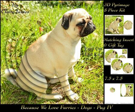 Furry Friends & Familiars - Dogs - Pug 4 + Insert & Tag